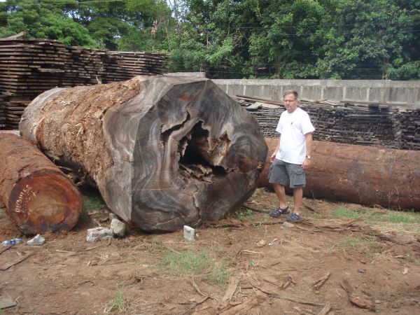 raw ipe logs